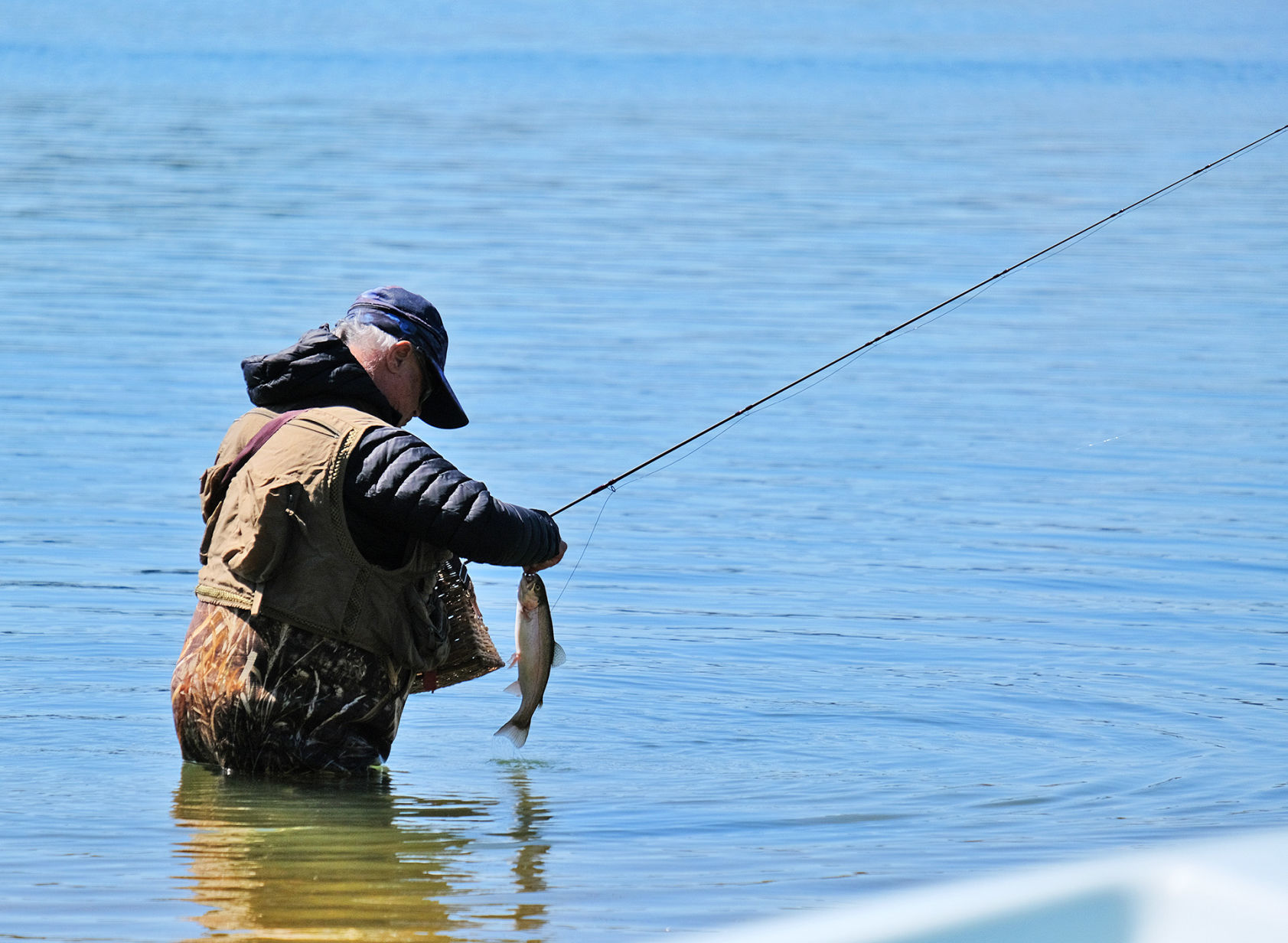 Peters Pond Trout
